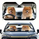 pet toys