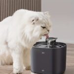 Cat Water Fountain + u