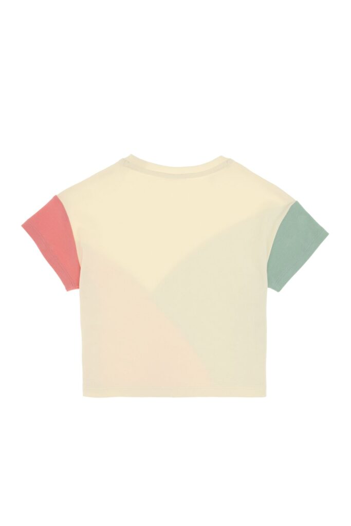 U.S. Polo Assn. Girl's Pink Crew Neck Crop Cotton T-Shirt 50309460-Vr041